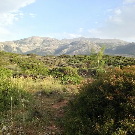 Blue Island מלון