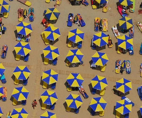 מלון Blue Island